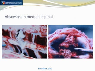 Otras deficiencias  (McDowell et al., 1984)Deficiencia de cobreDeficiencia de ZincBenavides E. (2011)