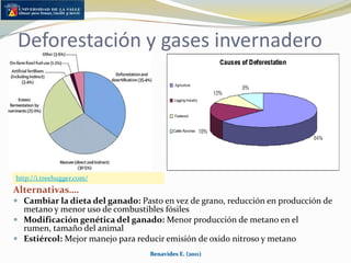Bajo uso de mano de obra rural  Calentamiento y ganaderíaVisión de países desarrollados  vs en vía de desarrollo?¿Es comer carne un lujo inaceptable?¿Las estadísticas se hacen con ganado alimentado con grano de ganadería intensiva?La visión de la ganadería tropicalBenavides E. (2011)