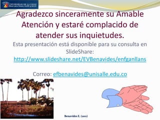 Tolerancia, resilienciaAnimales resistentesBenavides E. (2011)
