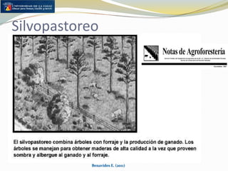 Deforestación y gases invernaderohttp://i.treehugger.com/Alternativas….Cambiar la dieta del ganado: Pasto en vez de grano, reducción en producción de metano y menor uso de combustibles fósilesModificación genética del ganado: Menor producción de metano en el rumen, tamaño del animal Estiércol: Mejor manejo para reducir emisión de oxido nitroso y metanoBenavides E. (2011)
