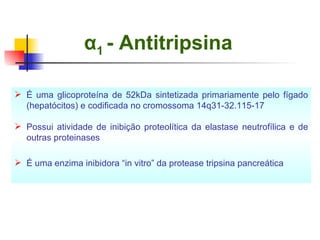 α 1  - Antitripsina   É uma glicoproteína de 52kDa sintetizada primariamente pelo fígado (hepatócitos) e codificada no cromossoma 14q31-32.115-17 Possui atividade de inibição proteolítica da elastase neutrofílica e de outras proteinases  É uma enzima inibidora “in vitro” da protease tripsina pancreática 