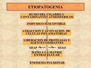 ETIOPATOGENIA
HUMO DEL CIGARRO Y
CONTAMINANTES ATMOSFERICOS
INDIVIDUO SUSCEPTIBLE
ATRACCION Y ACTIVACION DE
CELULAS INFLAMATORIAS
LIBERACION DE PROTEASAS Y
AGENTES OXIDANTES
SDAP

SDAO

DAÑO A LA MATRIZ
EXTRACELULAR
ENFISEMA PULMONAR

 