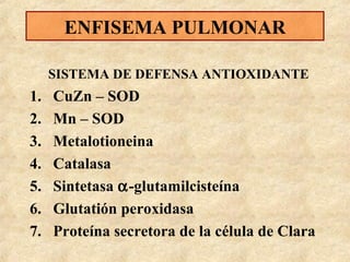 ENFISEMA PULMONAR
SISTEMA DE DEFENSA ANTIOXIDANTE

1.
2.
3.
4.
5.
6.
7.

CuZn – SOD
Mn – SOD
Metalotioneina
Catalasa
Sintetasa α-glutamilcisteína
Glutatión peroxidasa
Proteína secretora de la célula de Clara

 