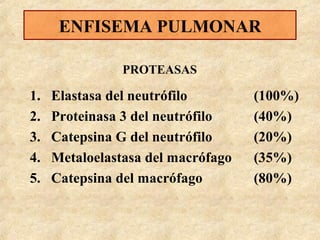 ENFISEMA PULMONAR
PROTEASAS

1.
2.
3.
4.
5.

Elastasa del neutrófilo
Proteinasa 3 del neutrófilo
Catepsina G del neutrófilo
Metaloelastasa del macrófago
Catepsina del macrófago

(100%)
(40%)
(20%)
(35%)
(80%)

 