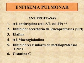 ENFISEMA PULMONAR
ANTIPROTEASAS

1.
2.
3.
4.
5.

α1-antitripsina (α1-AT, α1-IP) **
Inhibidor secretorio de leucoproteasas (SLPI)
Elafina
α2-Macroglobulina
Inhibidores tisulares de metaloproteasas
(TIMP-1)

6. Cistatina C

 
