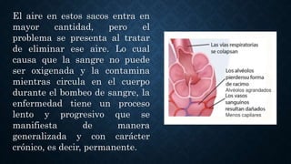 El aire en estos sacos entra en
mayor cantidad, pero el
problema se presenta al tratar
de eliminar ese aire. Lo cual
causa que la sangre no puede
ser oxigenada y la contamina
mientras circula en el cuerpo
durante el bombeo de sangre, la
enfermedad tiene un proceso
lento y progresivo que se
manifiesta de manera
generalizada y con carácter
crónico, es decir, permanente.
 