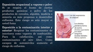 Exposición ocupacional a vapores o polvo:
Si se respira el humo de ciertos
productos químicos o polvo de los
productos de cereales, algodón, madera o
minería es más propenso a desarrollar
enfisema. Este riesgo es aún mayor si
usted fuma
Exposición a la contaminación interior y
exterior: Respirar los contaminantes de
interiores como vapores de combustible.
Para la calefacción, así como
contaminantes al aire libre. Como
escapes de automóviles aumenta el
riesgo de enfisema.
 