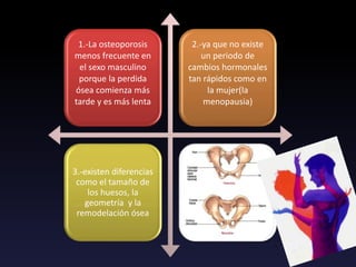 1.-La osteoporosis
menos frecuente en
el sexo masculino
porque la perdida
ósea comienza más
tarde y es más lenta
2.-ya que no existe
un periodo de
cambios hormonales
tan rápidos como en
la mujer(la
menopausia)
3.-existen diferencias
como el tamaño de
los huesos, la
geometría y la
remodelación ósea
 