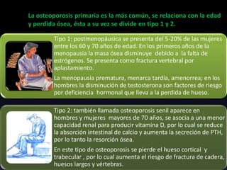Tipo 1: postmenopáusica se presenta del 5-20% de las mujeres
entre los 60 y 70 años de edad. En los primeros años de la
menopausia la masa ósea disminuye debido a la falta de
estrógenos. Se presenta como fractura vertebral por
aplastamiento.
La menopausia prematura, menarca tardía, amenorrea; en los
hombres la disminución de testosterona son factores de riesgo
por deficiencia hormonal que lleva a la perdida de hueso.
Tipo 2: también llamada osteoporosis senil aparece en
hombres y mujeres mayores de 70 años, se asocia a una menor
capacidad renal para producir vitamina D, por lo cual se reduce
la absorción intestinal de calcio y aumenta la secreción de PTH,
por lo tanto la resorción ósea.
En este tipo de osteoporosis se pierde el hueso cortical y
trabecular , por lo cual aumenta el riesgo de fractura de cadera,
huesos largos y vértebras.
La osteoporosis primaria es la más común, se relaciona con la edad
y perdida ósea, ésta a su vez se divide en tipo 1 y 2.
 