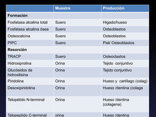 Marcadores de recambio óseo
Muestra Producción
Formación
Fosfatasa alcalina total Suero Higado/hueso
Fosfatasa alcalina ósea Suero Osteoblastos
Osteocalcina Suero Osteoblastos
PIPC Suero Piel/ Osteoblastos
Resorción
TRACP Suero Osteoclastos
Hidroxiprolina Orina Tejido conjuntivo
Glucósidos de
hidroxilisina
Orina Tejido conjuntivo
Piridolina Orina Hueso y cartílago (colag)
Desoxipiridolina Orina Hueso /dentina (colage
Telopétido N-terminal Orina Hueso /dentina
(colagena)
Telopeptido C-terminal orina Hueso /dentina
 