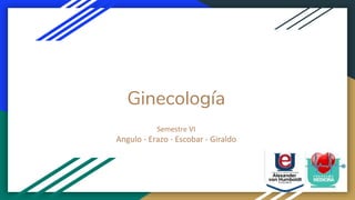 Ginecología
Semestre VI
Angulo - Erazo - Escobar - Giraldo
 