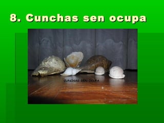 8. Cunchas sen ocupa8. Cunchas sen ocupa
 