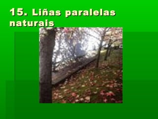 15.15. Liñas paralelasLiñas paralelas
naturaisnaturais
 