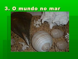 3. O mundo no mar3. O mundo no mar
 