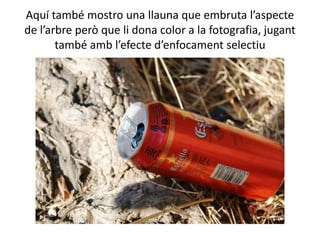 Aquí també mostro una llauna que embruta l’aspecte
de l’arbre però que li dona color a la fotografia, jugant
       també amb l’efecte d’enfocament selectiu
 