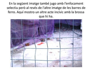 En la següent imatge també jugo amb l’enfocament
selectiu però al revés de l'altre imatge de les barres de
 ferro. Aquí mostro un altre acte incívic amb la brossa
                       que hi ha.
 