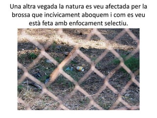 Una altra vegada la natura es veu afectada per la
brossa que incívicament aboquem i com es veu
       està feta amb enfocament selectiu.
 