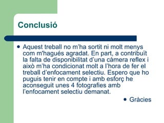 Conclusió Aquest treball no m’ha sortit ni molt menys com m'hagués agradat. En part, a contribuït la falta de disponibilitat d’una càmera reflex i això m’ha condicionat molt a l’hora de fer el treball d’enfocament selectiu. Espero que ho puguis tenir en compte i amb esforç he aconseguit unes 4 fotografies amb l’enfocament selectiu demanat. Gràcies 