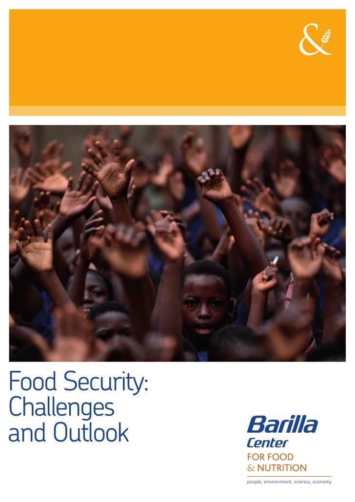 Essay on food security
