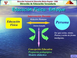 Educación Física: Enfoque  Persona Educación  Física Relación Humana Ser que existe, siente,  Piensa y actúa de forma  inteligente . Intencionada Concepción Educativa Propuesta pedagógica Modelo didáctico Intervención Docente 