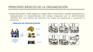 PRINCIPIOS BÁSICOS DE LA ORGANIZACIÓN
Especialización: cada órgano o cargo tiene funciones y tareas especificas y
especializadas, la especialización del trabajo propuesta por la administración
científica fue una manera de disminuir los costos de producción y aumentar la
eficiencia.
 