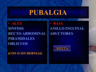 PUBALGIA ALTA SINFISIS RECTO ABDOMINAL PIRAMIDALES OBLICUOS (CON O SIN HERNIAS) BAJA ANILLO INGUINAL ADUCTORES MIXTA 