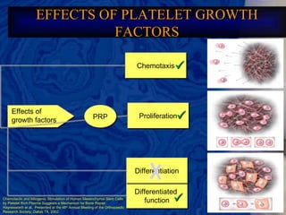 EFFECTS OF PLATELET GROWTH FACTORS Effects of  growth factors Chemotaxis Differentiated  function Proliferation Differentiation Chemotactic and Mitogenic Stimulation of Human Mesenchymal Stem Cells by Platelet Rich Plasma Suggests a Mechanism for Bone Repair.  Haynesworth et al.  Presented at the 48 th  Annual Meeting of the Orthopaedic Research Society, Dallas TX, 2002 PRP          
