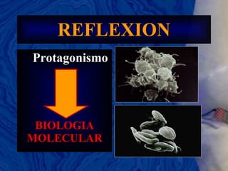 REFLEXION Protagonismo BIOLOGIA MOLECULAR 