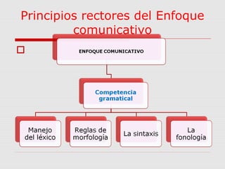 Principios rectores del Enfoque 
comunicativo 
 
 
