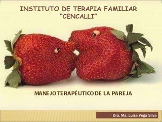 INSTITUTO DE TERAPIA FAMILIAR “ CENCALLI” MANEJO TERAPÉUTICO DE LA PAREJA  Dra. Ma. Luisa Vega Silva 