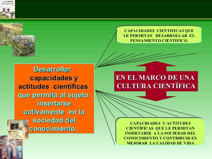 Enfoque Área: Ciencia, Tecnología y Ambiente