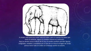 A simple vista pareciera estar todo en orden, pero si cuentas las patas que
tiene el elefante, seguro tu cerebro entrara en confusión.
Aquí es donde inicia el efecto de la Ley, el cerebro prefiere percibir figuras
integradas, estables y completas por lo que de un inicio la imagen de arriba
parece tener todo en orden sin embargo podría no estarlo.
 