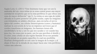Según León, G. (2011) “Este fenómeno tiene que ver con la
anatomía del ojo, cuya retina en su zona central posee una mayor
cantidad de receptores que en la zona periférica lo que ofrece una
zona de mayor definición” (pp.3). La retina es una capa de tejido
ubicada en la parte posterior del globo ocular, capta las imágenes
convirtiéndolas en señales eléctricas para enviarlas al nervio
óptico del cerebro, sus células fotorreceptoras (conos y bastones)
realizan la conversión de la luz en impulsos nerviosos que el
cerebro transforma en imágenes, los bastones tienen alta
sensibilidad a la luz y son los que nos ayudan a ver cuando hay
poca luz, los conos por su parte, son los que perciben el detalle y
el color, estas células en una región llamada fóvea nos permite
fijar la mirada en un punto específico lo cual nos posibilita
focalizar distinguiendo en este caso la imagen de la mujer y al
alejar el foco de la mirada de esa mujer hacia una vista periférica
vemos una calavera.
 