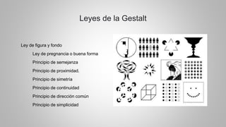 Leyes de la Gestalt
Ley de figura y fondo
Ley de pregnancia o buena forma
Principio de semejanza
Principio de proximidad.
Principio de simetría
Principio de continuidad
Principio de dirección común
Principio de simplicidad
 
