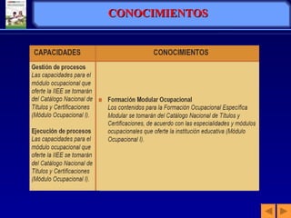 CONOCIMIENTOS  