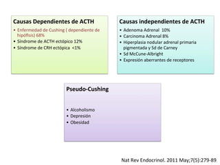 Causas	
  Dependientes	
  de	
  ACTH	
  	
  
•  Enfermedad	
  de	
  Cushing	
  (	
  dependiente	
  de	
  
hipóﬁsis)	
  68%	
  	
  	
  
•  Síndrome	
  de	
  ACTH	
  ectópico	
  12%	
  
•  Síndrome	
  de	
  CRH	
  ectópica	
  	
  <1%	
  
Causas	
  independientes	
  de	
  ACTH	
  	
  
•  Adenoma	
  Adrenal	
  	
  10%	
  
•  Carcinoma	
  Adrenal	
  8%	
  
•  Hiperplasia	
  nodular	
  adrenal	
  primaria	
  
pigmentada	
  y	
  Sd	
  de	
  Carney	
  	
  
•  Sd	
  McCune-­‐Albright	
  
•  Expresión	
  aberrantes	
  de	
  receptores	
  
Pseudo-­‐Cushing	
  	
  
•  Alcoholismo	
  
•  Depresión	
  	
  
•  Obesidad	
  	
  
Nat	
  Rev	
  Endocrinol.	
  2011	
  May;7(5):279-­‐89.	
  	
  
 