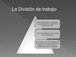 La División de trabajo

            Nivel institucional: compuesto
            por los dirigentes y directores
                    de la institución.




            Nivel intermedio: conformado
                    por los gerentes



           Nivel operacional: formado por
           los supervisores que administran
             la ejecución de las tareas y
             operaciones de la empresa.
 