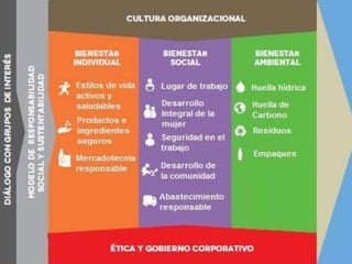 ENFOQUES DE LA MERCADOTECNIA