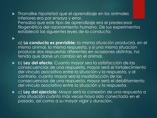  Thorndike hipotetizó que el aprendizaje en los animales
inferiores era por ensayo y error.
Pensaba que este tipo de aprendizaje era el predecesor
filogenético del razonamiento humano. De sus experimentos
estableció las siguientes leyes de la conducta:

a) La conducta es previsible: la misma situación producirá, en el
mismo animal, la misma respuesta, y si una misma situación
produce dos respuestas diferentes en ocasiones distintas, ha
tenido que darse un cambio en el animal.
 b) Ley del efecto: Cuanto mayor sea la satisfacción de las
consecuencias de una respuesta, mayor será el fortalecimiento
del vínculo asociativo entre la situación y la respuesta, y al
contrario, cuanto mayor sea la insatisfacción de las
consecuencias de una respuesta, mayor será el debilitamiento
del vínculo asociativo entre la situación y la respuesta.
 c) Ley del ejercicio: Mayor será la conexión de una respuesta a
una situación cuánto más veces haya sido conectada en el
pasado, así como a su mayor vigor y duración.
 