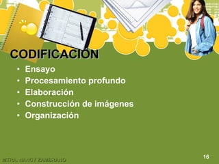 CODIFICACIÓN   Ensayo Procesamiento profundo Elaboración Construcción de imágenes Organización 16 