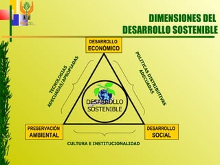 DIMENSIONES DEL  DESARROLLO SOSTENIBLE DESARROLLO  ECONÓMICO PRESERVACIÓN  AMBIENTAL DESARROLLO  SOCIAL DESARROLLO SOSTENIBLE CULTURA E INSTITUCIONALIDAD TECNOLOGIAS  ADECUADAS/APROPIADAS POLITICAS DISTRIBUTIVAS  ADECUADAS 