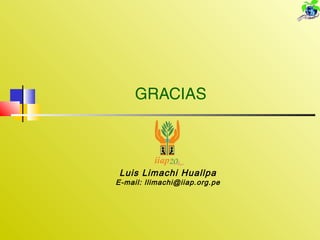 GRACIAS
Luis Limachi Huallpa
E-mail: llimachi@iiap.org.pe
 