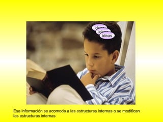 ideas 
ideas 
ideas 
Esa información se acomoda a las estructuras internas o se modifican 
las estructuras internas 
 