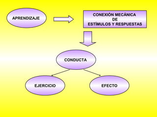 CONDUCTA 
APRENDIZAJE 
CONEXIÓN MECÁNICA 
DE 
ESTÍMULOS Y RESPUESTAS 
EJERCICIO EFECTO 
 