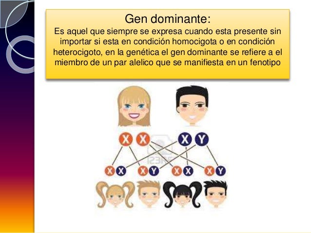 Enfoques del desarrollo evolutivo