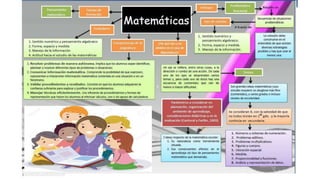 Enfoques de los programas de primaria