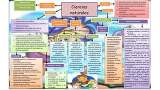 Enfoques de los programas de primaria
