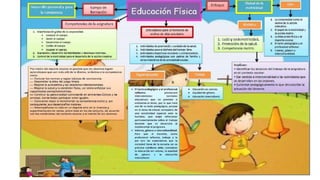 Enfoques de los programas de primaria