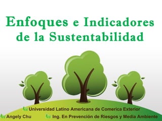 Enfoques e Indicadores
de la Sustentabilidad
Angely Chu Ing. En Prevención de Riesgos y Media Ambiente
Universidad Latino Americana de Comerica Exterior
 
