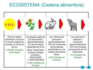 ECOSISTEMA (Cadena alimenticia)




   Para la cadena        Las plantas capturan      Los Herbívoros        Los Carnívoros
alimenticia, el sol es      por fotosíntesis,        consumen              capturan y
la fuente original de      aproximadamente       aproximadamente           consumen
energía, en la forma        1% de la energía     10% de la biomasa     aproximadamente
       de luz,            disponible de la luz      de las plantas     10% de la energía
 (100,000 Unidades         Solar. Fotosíntesis   producidas en una    almacenada por los
     de Energía)           química: Energía      cadena alimenticia       Herbívoros.
                               luminosa +               típica.         (10 Unidades de
                              6CO2+6H20           (100 Unidades de          Energía)
                           =>C5H12O6+6O2              Energia)
                          (1,000 Unidades de
                                 Energía)
 